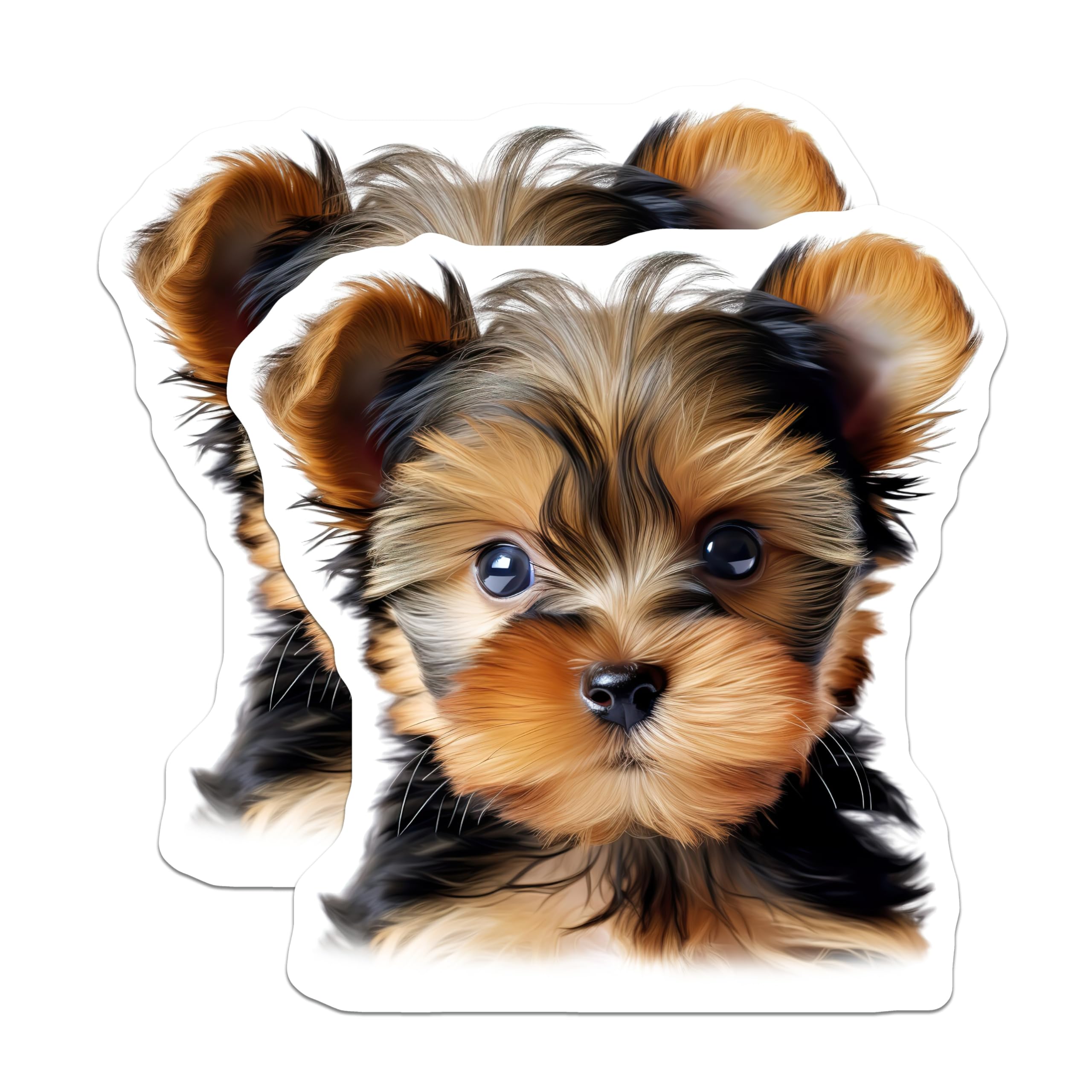 (2 Pack) Yorkie Puppy Magnets - Adorable Yorkshire Terrier Decor - Pet Parent Refrigerator Accessory - 5 Inches On Longest Side - Thick Durable Magnet - Made in USA - MAG30473