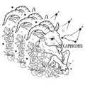(3 Pack) Capricorn Decals - Zodiac Sign Stickers - Floral Astrology Decals - 3 Inches On Longest Side - Easy Peel & Apply - Made in USA - 3MCS4619
