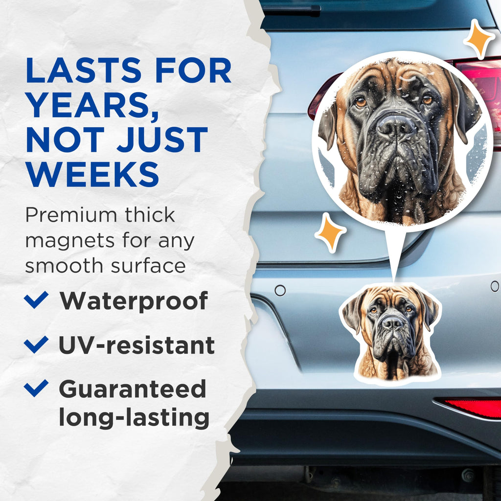 (2 Pack) Bullmastiff Dog Magnets - Pet Lover Refrigerator Decor - Canine Breed Locker Display - 5 Inches On Longest Side - Thick Durable Magnet - Made in USA - MAG25509