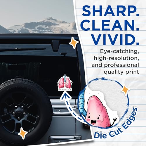 (2 Pack) Cute Lung Stickers - You Be-Lung to Me - Funny Medical Pun - 5" On Longest Side - Sticks to Smooth Flat Surfaces - Made in USA - BMCS7598