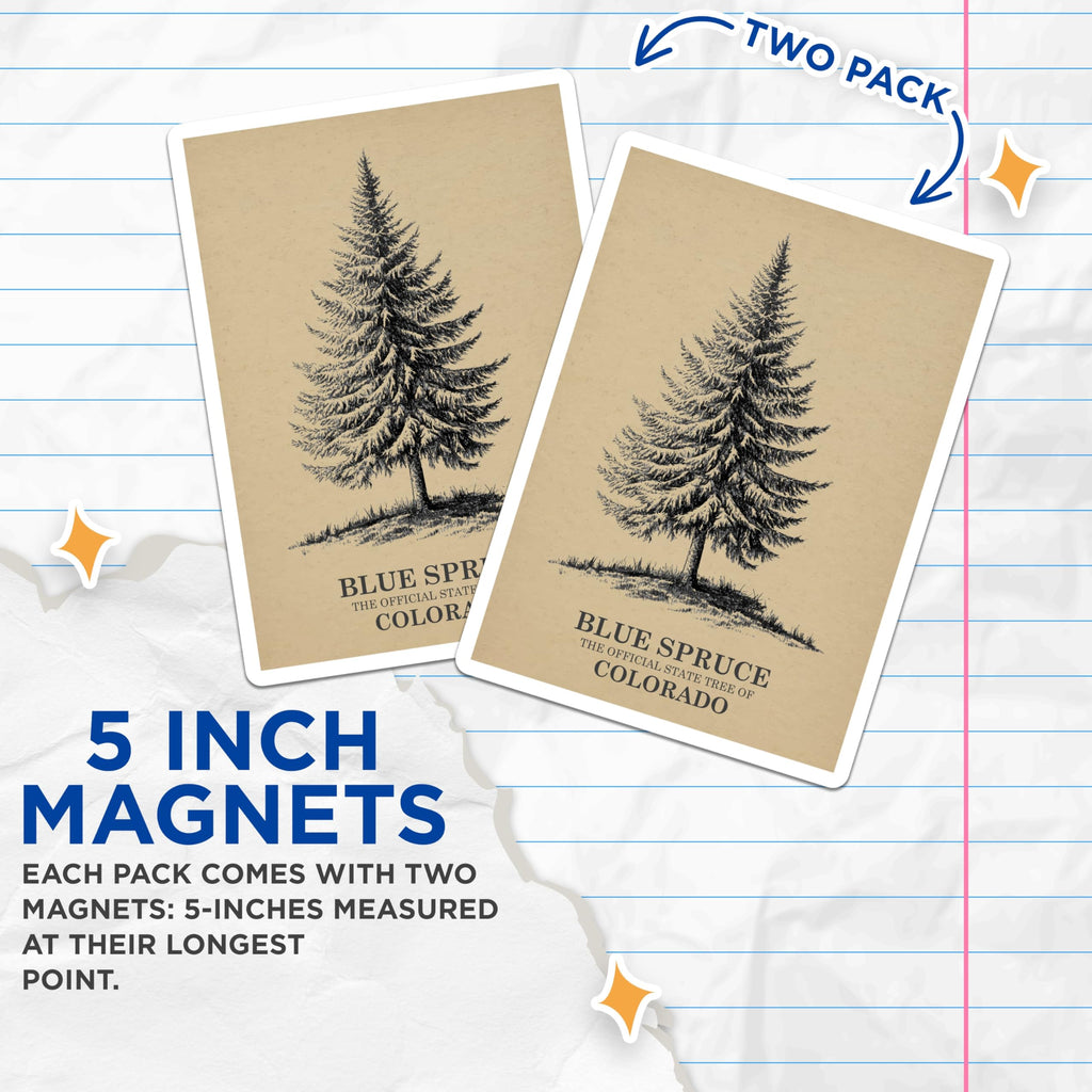 (2 Pack) Blue Spruce Magnets - Colorado Tree - Botanical Fridge Magnets - 5" On Longest Side - Premium Magnet - for Cars, Refrigerators, Toolboxes, Lockers - Made in USA - MAG17295