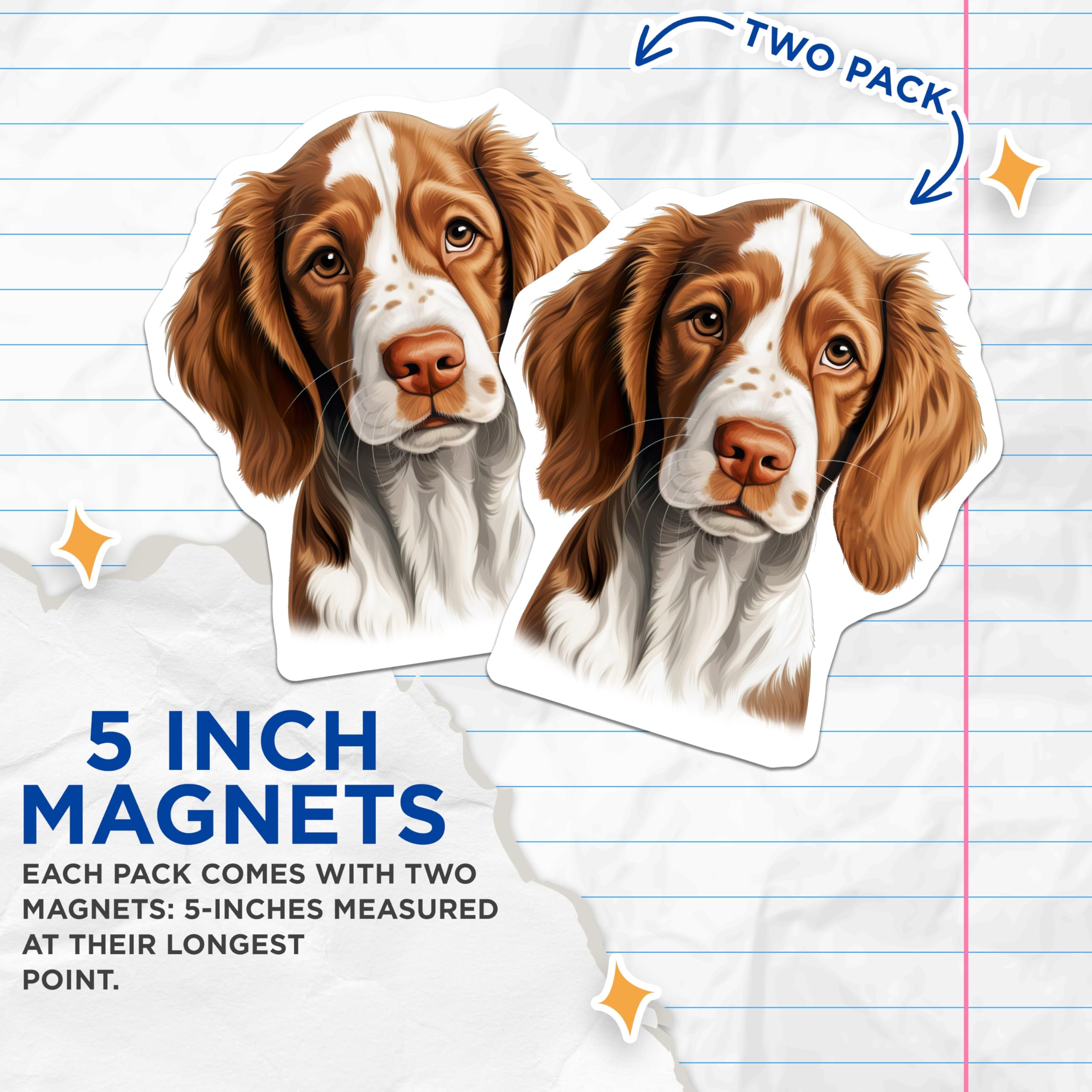 (2 Pack) Springer Spaniel Dog Magnets - Pet Lover Refrigerator Decor - Canine Breed Art - 5 Inches On Longest Side - Thick Durable Magnet - Made in USA - MAG30449