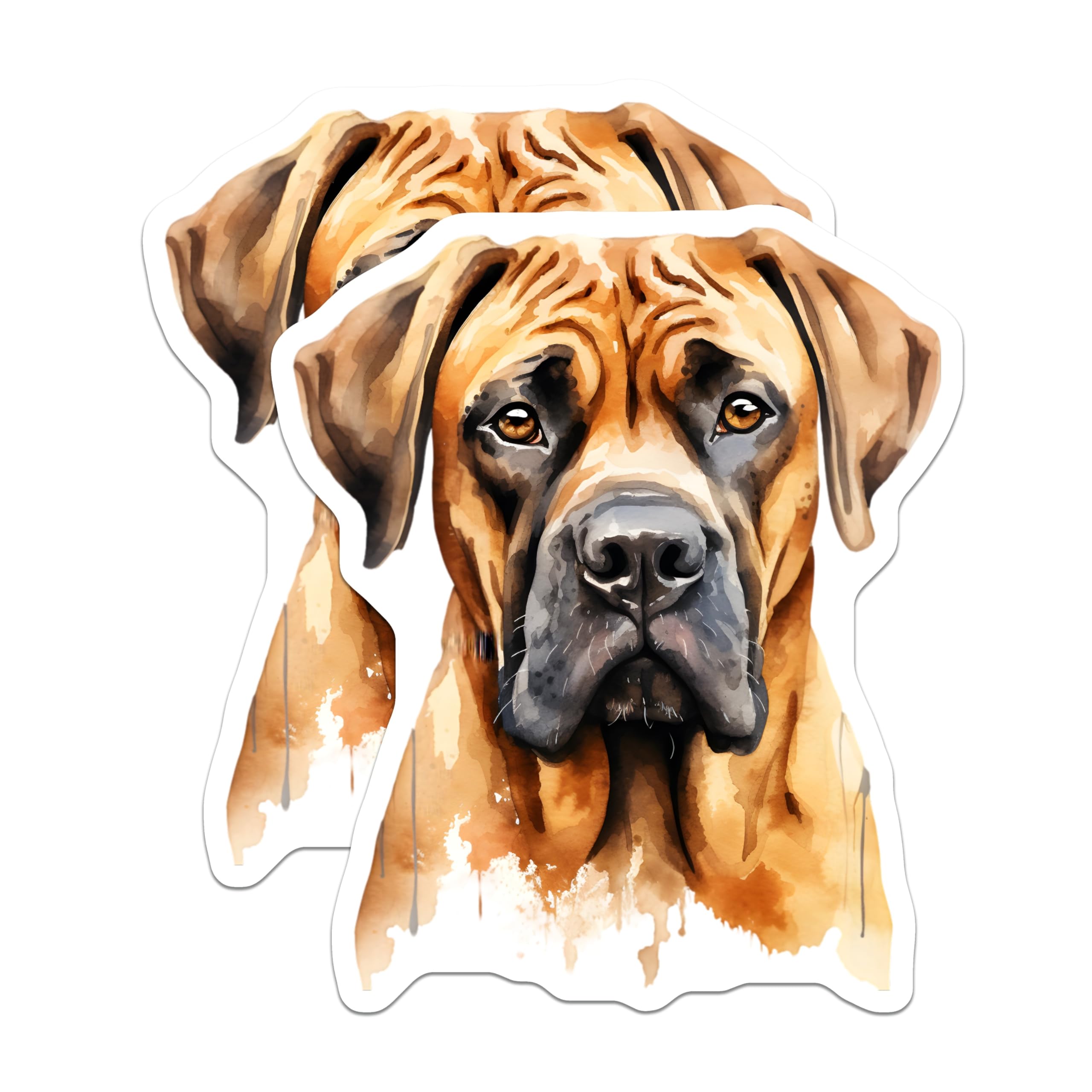 (2 Pack) English Mastiff Dog Magnets - Watercolor Pet Art - Fridge Accessory - 5 Inches On Longest Side - Thick Durable Magnet - Made in USA - MAG23998