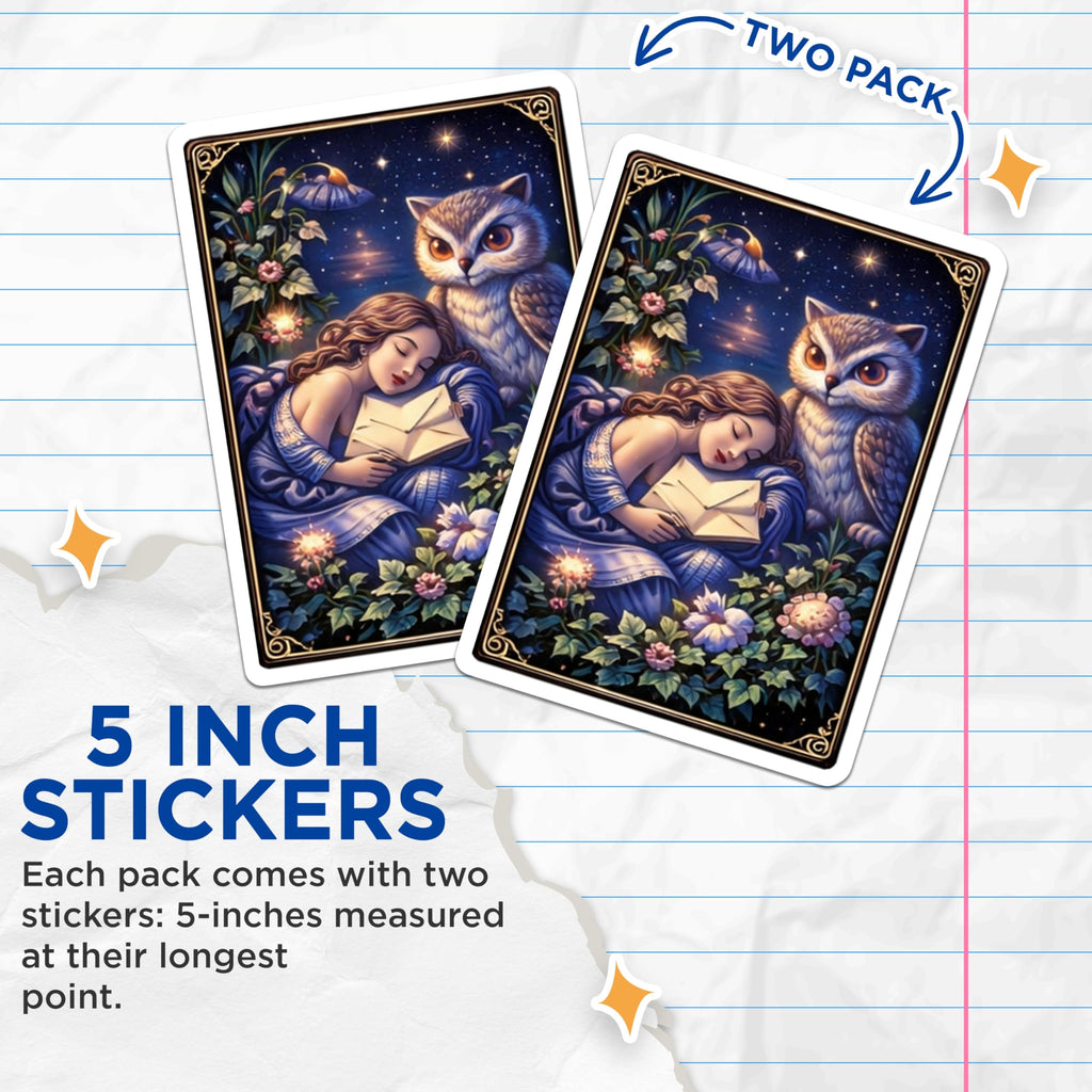 (2 Pack) Sleeping Beauty Owl Stickers - Fairy Tale Art - Dream Stickers - 5" On Longest Side - Sticks to Smooth Flat Surfaces - Made in USA - BMCS15678