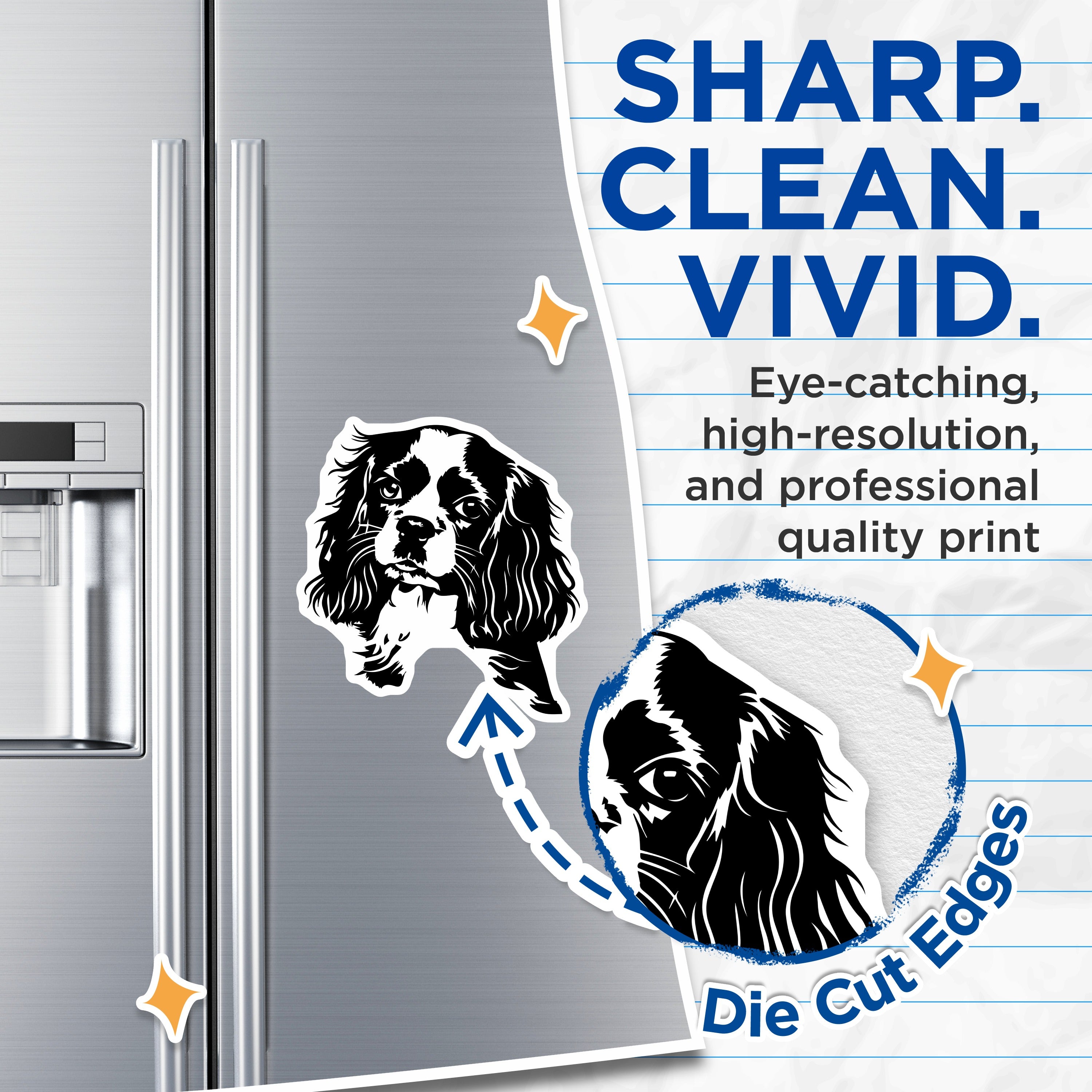 (2 Pack) Cavalier King Charles Spaniel Magnets - Dog Owner Decor - Pet Lover Refrigerator Accent - 5 Inches On Longest Side - Thick Durable Magnet - Made in USA - MAG37955