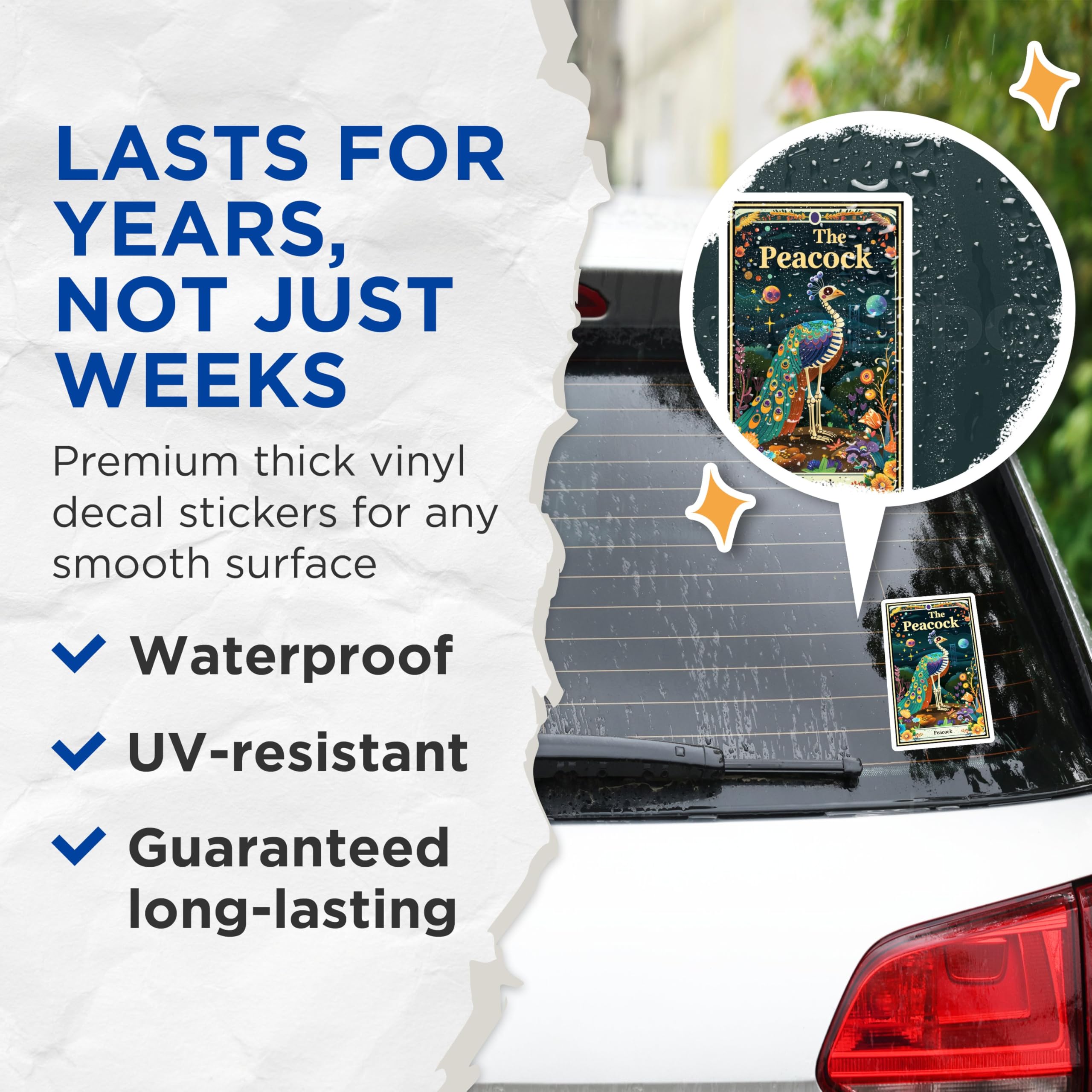 (2 Pack) The Peacock Skeleton Stickers - Halloween Bird Stickers - Ornate Skull Stickers - 5" On Longest Side - Sticks to Smooth Flat Surfaces - Made in USA - BMCS3630