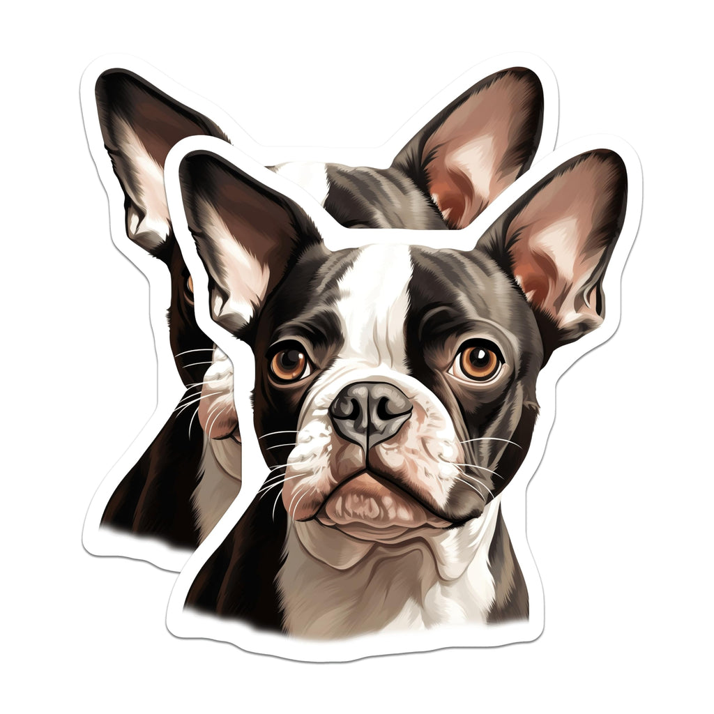 (2 Pack) Boston Terrier Dog Magnets - Dog Breed Lover Decor - Pet Parent Refrigerator Magnets - 5 Inches On Longest Side - Thick Durable Magnet - Made in USA - MAG29048