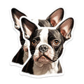 (2 Pack) Boston Terrier Dog Magnets - Dog Breed Lover Decor - Pet Parent Refrigerator Magnets - 5 Inches On Longest Side - Thick Durable Magnet - Made in USA - MAG29048