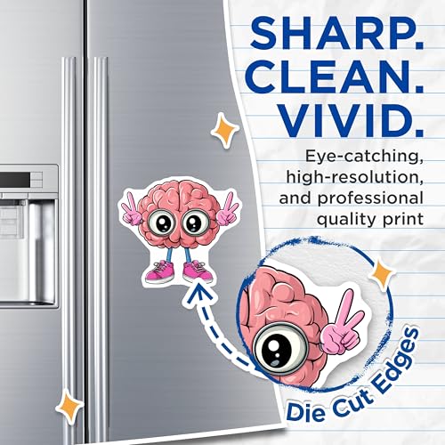 (2 Pack) Brain Magnets - Cute Brain Illustration - Fun Fridge Decor - Anatomy - Educational Tool - 5" On Longest Side - for Cars, Fridges, Toolboxes - Made in USA - MAG6886