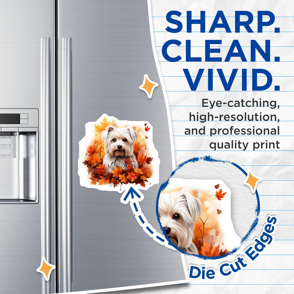 (2 Pack) Cute Dog Magnets - Fluffy White Terrier Autumn Decor - Fall Refrigerator Art - 5 Inches On Longest Side - Thick Durable Magnet - Made in USA - MAG25056