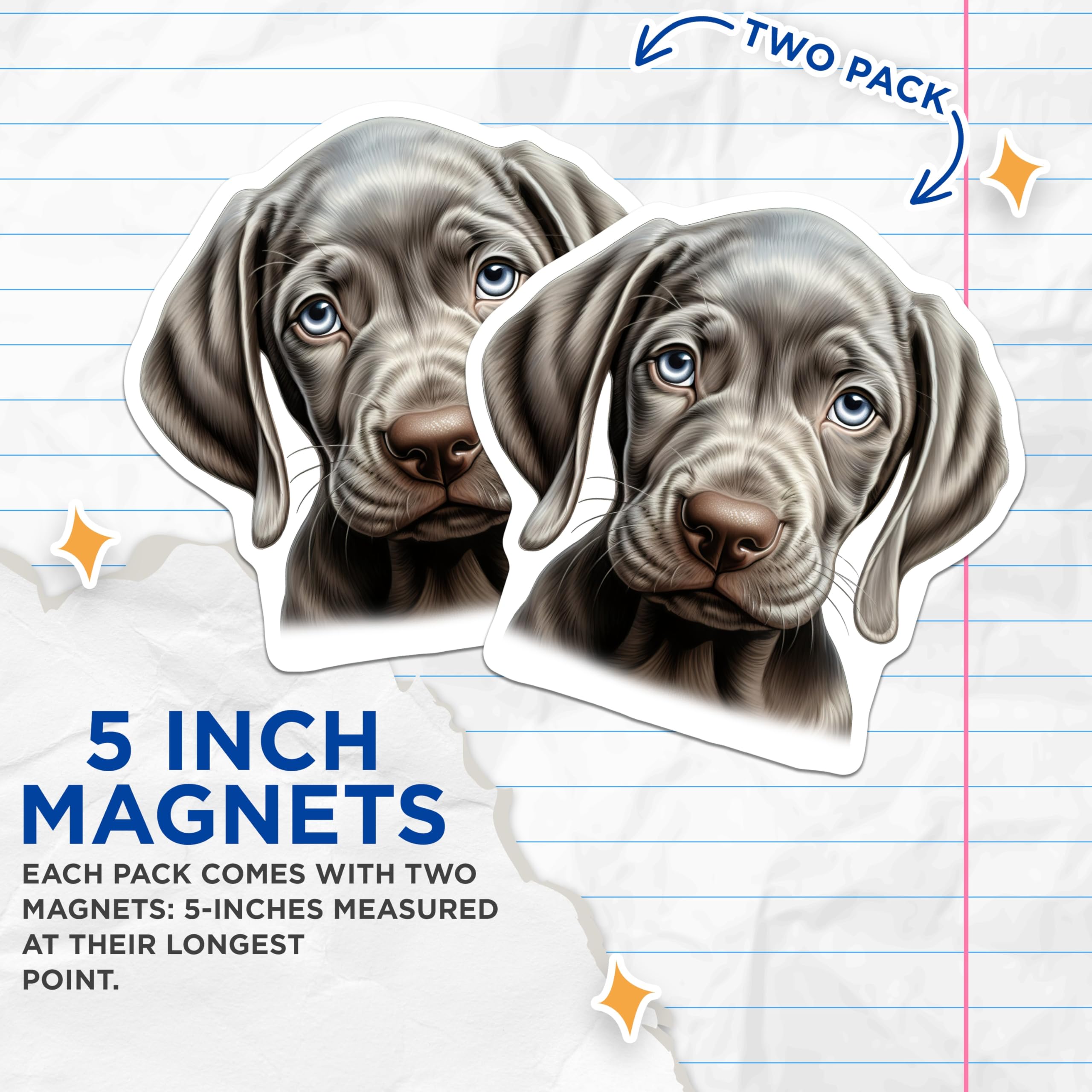 (2 Pack) Weimaraner Puppy Magnets - Adorable Blue Eyed Dog Decor - Unique Canine Art Refrigerator Kitchen Locker Accent - 5 Inches On Longest Side - Thick Durable Magnet - Made in USA - MAG23757