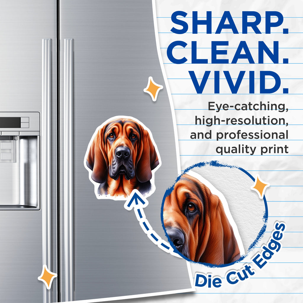 (2 Pack) Bloodhound Dog Magnets - Realistic Canine Portrait - Pet Lover Refrigerator Decor - Dog Parent Appreciation - 5 Inches On Longest Side - Thick Durable Magnet - Made in USA - MAG36406