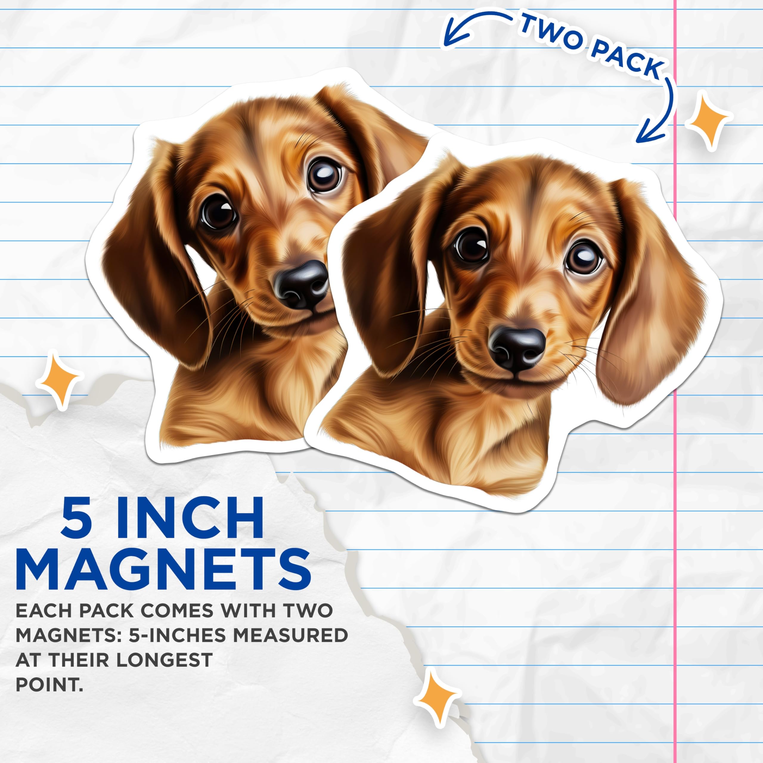 (2 Pack) Dachshund Magnets - Cute Wiener Dog Art Decor - Puppy Face Pet Lover Fridge Refrigerator Supplies - 5 Inches On Longest Side - Thick Durable Magnet - Made in USA - MAG27784