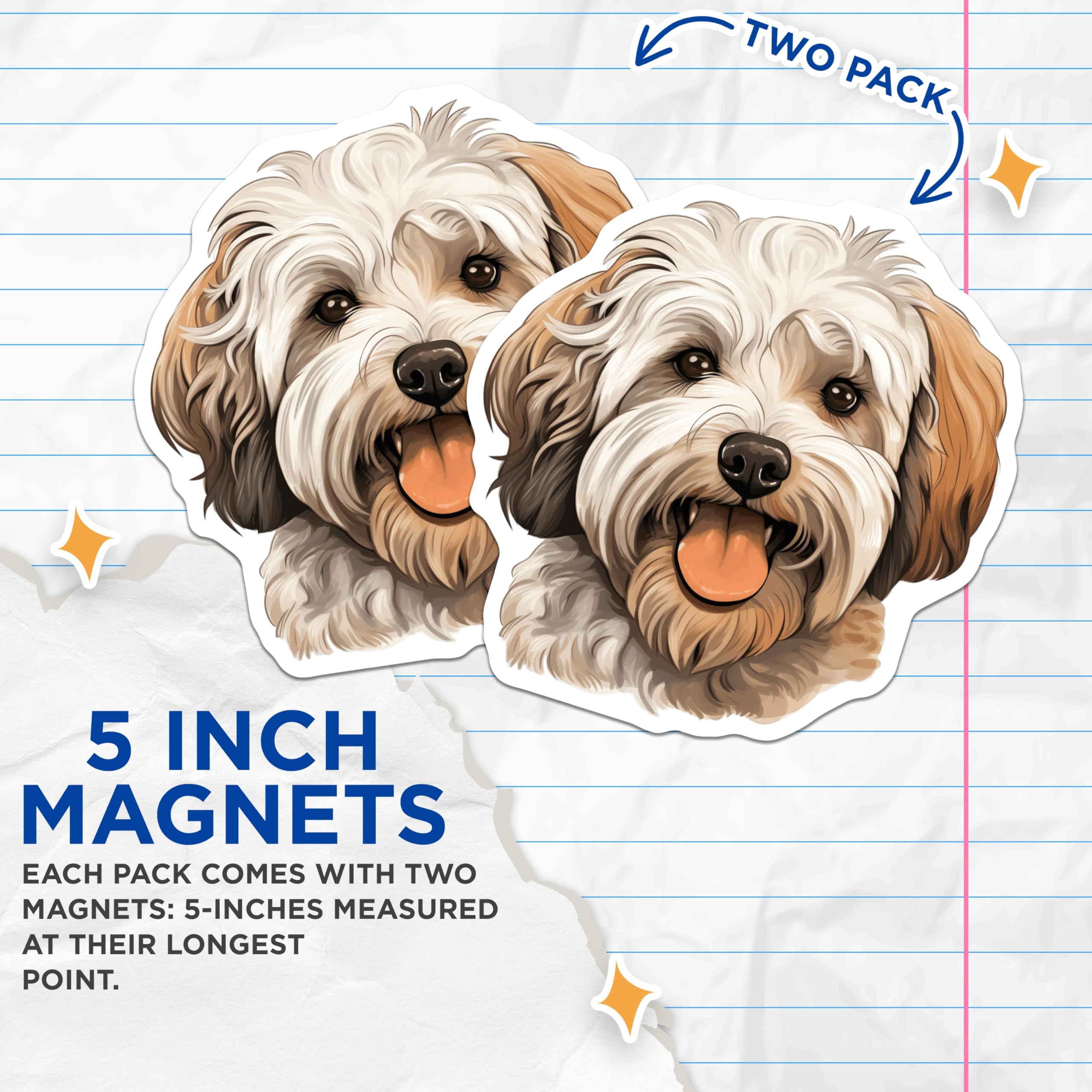 (2 Pack) Havanese Dog Magnets - Cute Pet Lover Decor - Happy Puppy Animal Art - 5 Inches On Longest Side - Thick Durable Magnet - Made in USA - MAG27297
