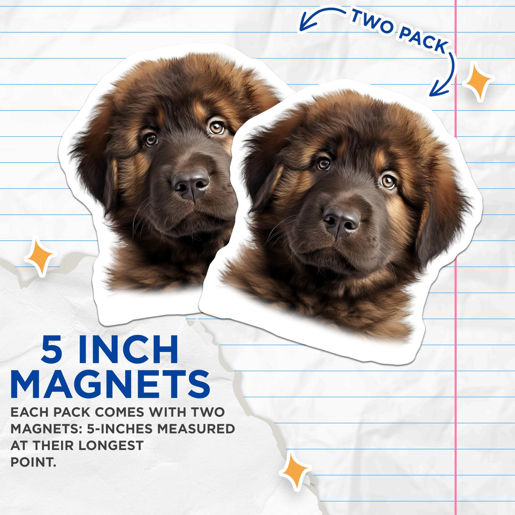 (2 Pack) Adorable Puppy Dog Magnets - Fluffy Brown Pet Lover Fridge Decor - Cute Animal Refrigerator Magnet for Dog Mom Dad - 5 Inches On Longest Side - Thick Durable Magnet - Made in USA - MAG29373