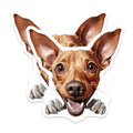 (2 Pack) Cute Dog Decor Magnet - 5" On Longest Side - Sticks to Smooth Flat Surfaces - Made in USA - MAG9935