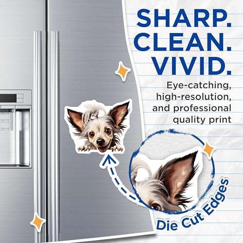 (2 Pack) Puppy Face Decoration Magnet - 5" On Longest Side - Sticks to Smooth Flat Surfaces - Made in USA - MAG9930