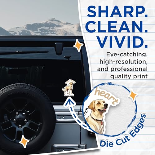 (2 Packs) Loyal Heart Boundless Fetch Forever Friend Stickers - Golden Lab Decals - 5 Inches On Longest Side - Premium Vinyl Decal - Sticks to Any Smooth Flat Surface - Made in USA - BMCS2355