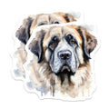 (2 Pack) Saint Bernard Watercolor Magnets - Dog Breed Lover - Pet Parent Decor - 5 Inches On Longest Side - Thick Durable Magnet - Made in USA - MAG29488
