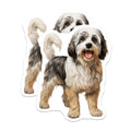 (2 Pack) Shaggy Dog Magnets - Cute Pet Lover Refrigerator - Animal Art Decor Accent - 5 Inches On Longest Side - Thick Durable Magnet - Made in USA - MAG26384