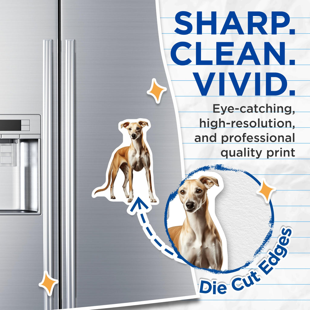 (2 Pack) Whippet Dog Magnets - Sighthound Art - Dog Lover Decor - Pet Parent Present - Animal Enthusiast - 5 Inches On Longest Side - Thick Durable Magnet - Made in USA - MAG30961