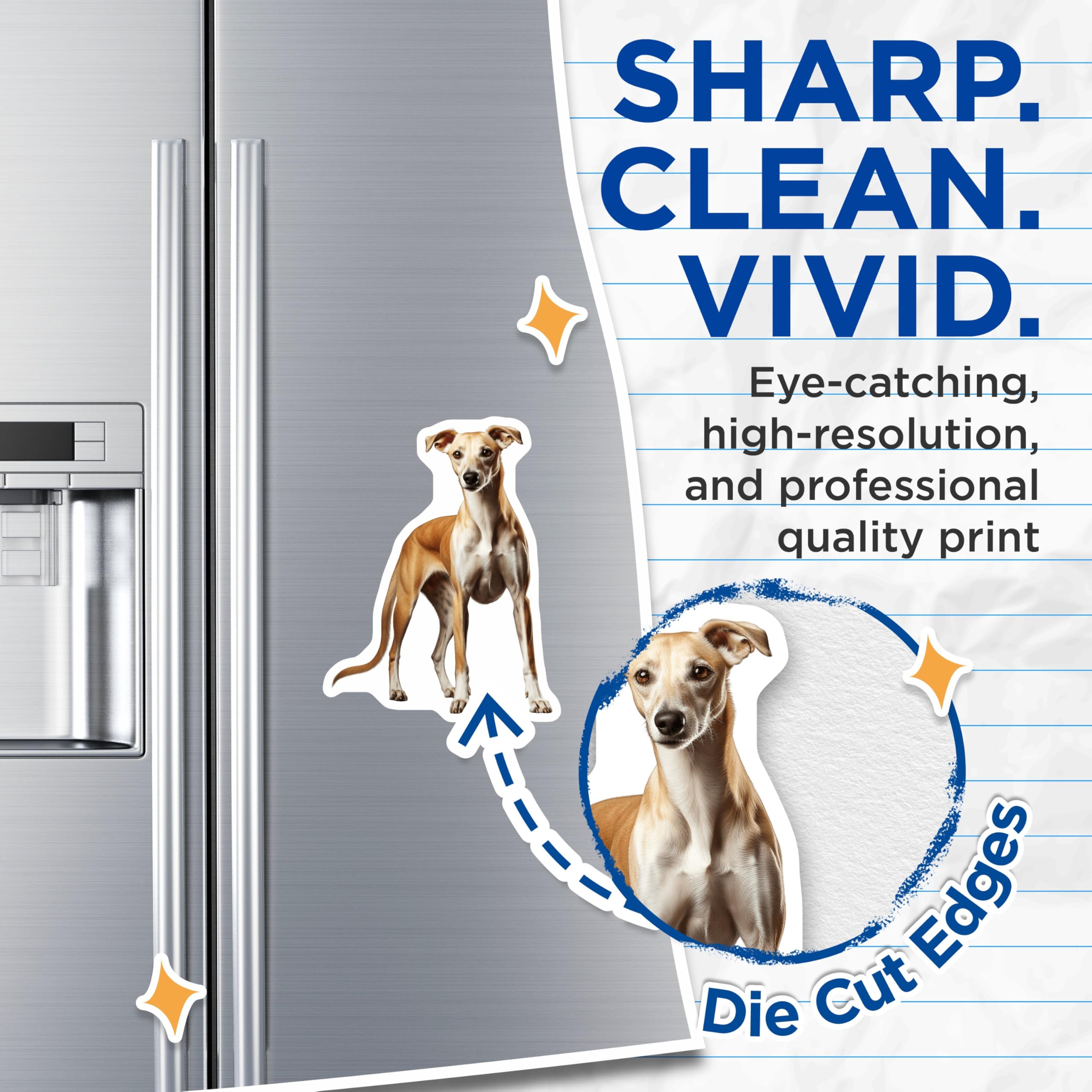 (2 Pack) Whippet Dog Magnets - Sighthound Art - Dog Lover Decor - Pet Parent Present - Animal Enthusiast - 5 Inches On Longest Side - Thick Durable Magnet - Made in USA - MAG30961