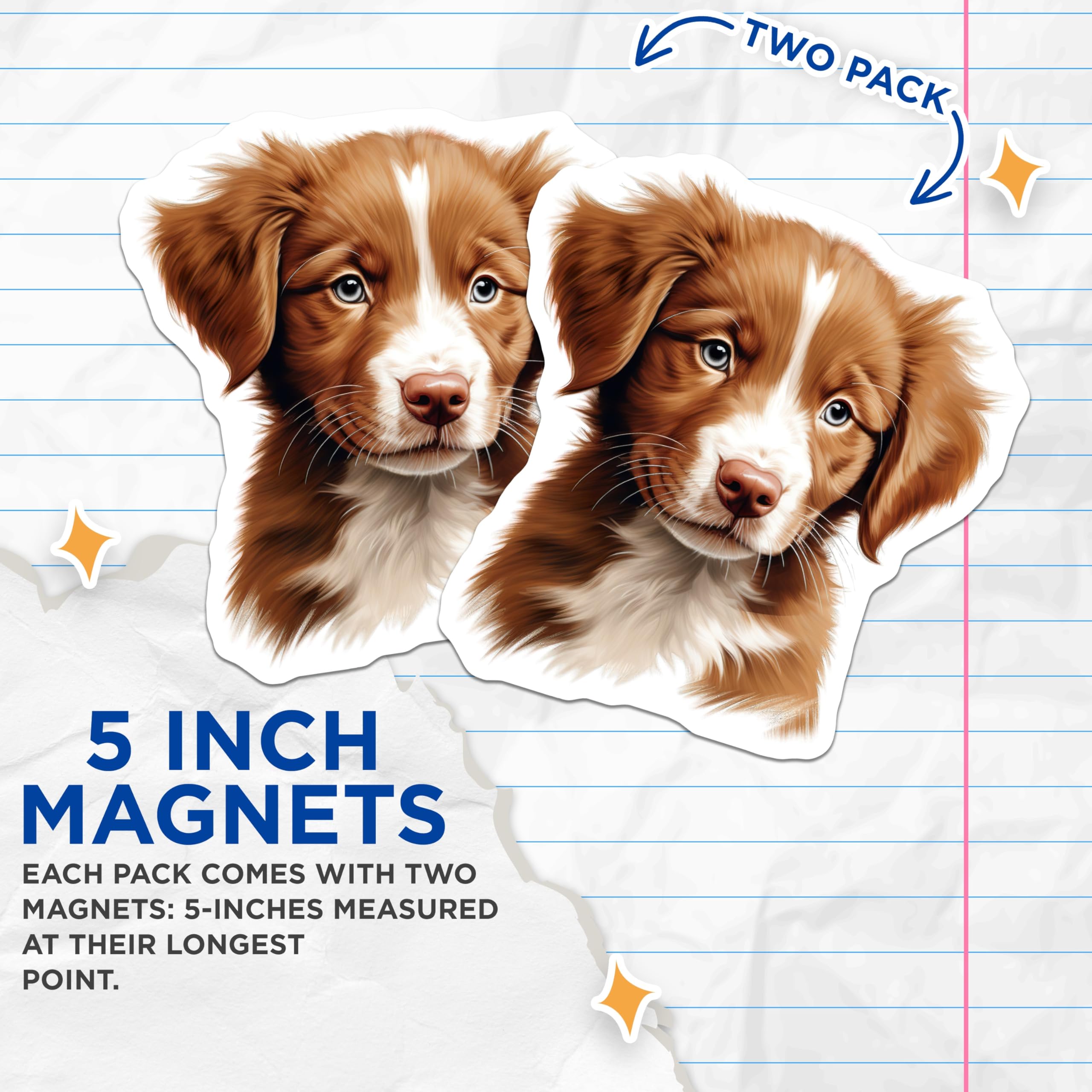 (2 Pack) Nova Scotia Duck Tolling Retriever Magnets - Cute Puppy Dog Art - Pet Lover Decor for Dog Moms - 5 Inches On Longest Side - Thick Durable Magnet - Made in USA - MAG28377