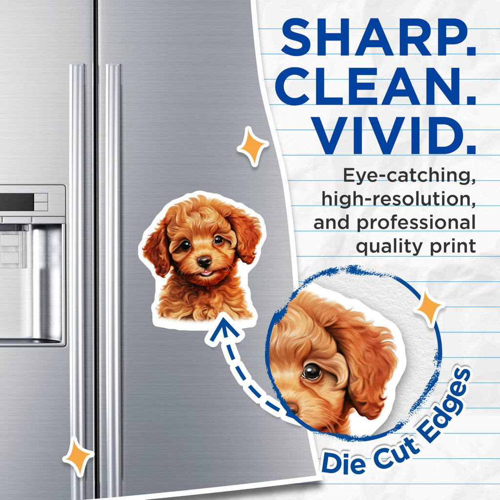 (2 Pack) Poodle Puppy Magnets - Goldendoodle Labradoodle Dog Lover - Cute Animal Fridge Decor - 5 Inches On Longest Side - Thick Durable Magnet - Made in USA - MAG28157