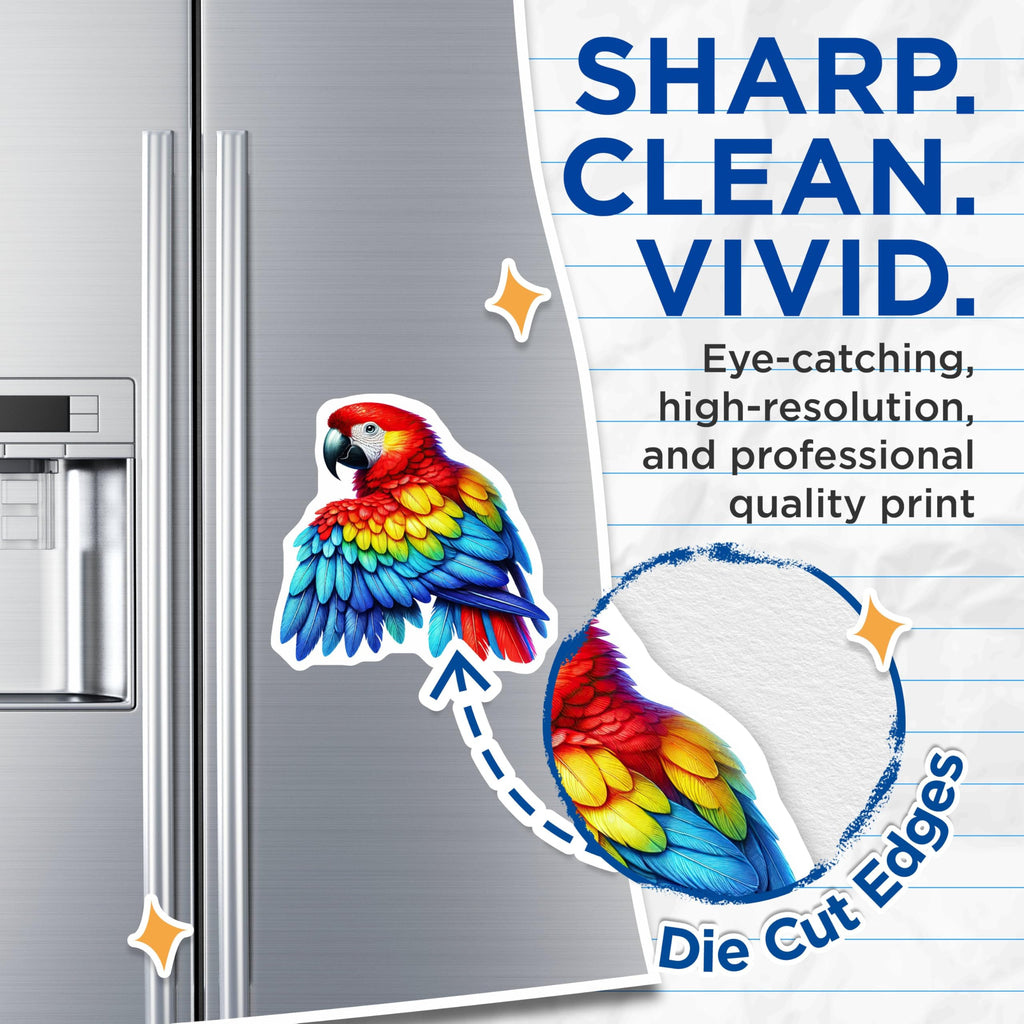 (2 Pack) Parrot Magnets - Colorful Bird Magnets - Tropical Animal Magnet - 5" On Longest Side - for Cars, Fridges, Toolboxes - Made in USA - MAG4522