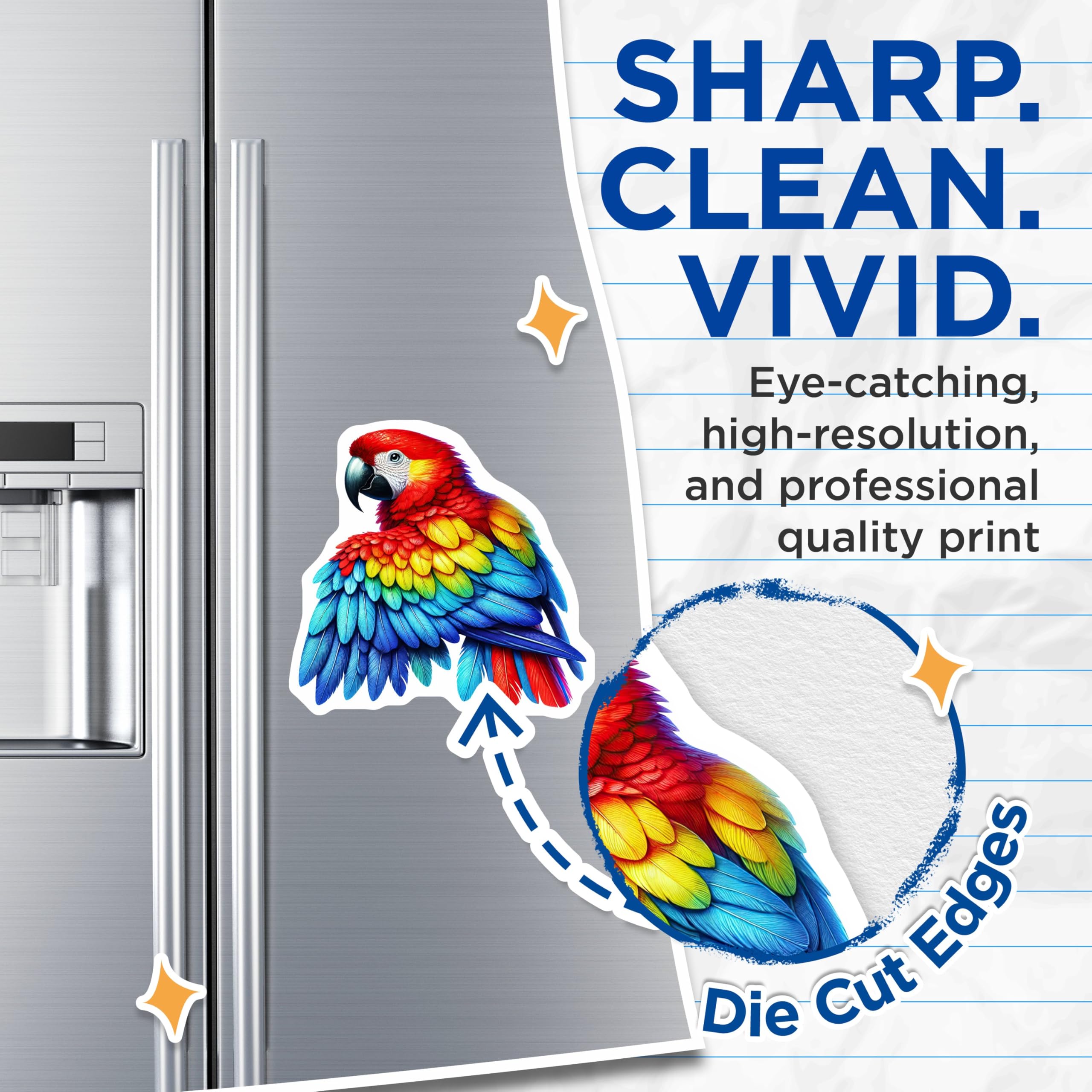 (2 Pack) Parrot Magnets - Colorful Bird Magnets - Tropical Animal Magnet - 5" On Longest Side - for Cars, Fridges, Toolboxes - Made in USA - MAG4522
