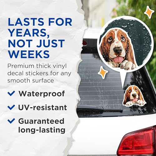 (2 Pack) Cute Basset Hound Dog Stickers - Adorable Puppy Decal - Pet Lover Car Decor - 5" On Longest Side - Sticks to Smooth Flat Surfaces - Made in USA - BMCS9853