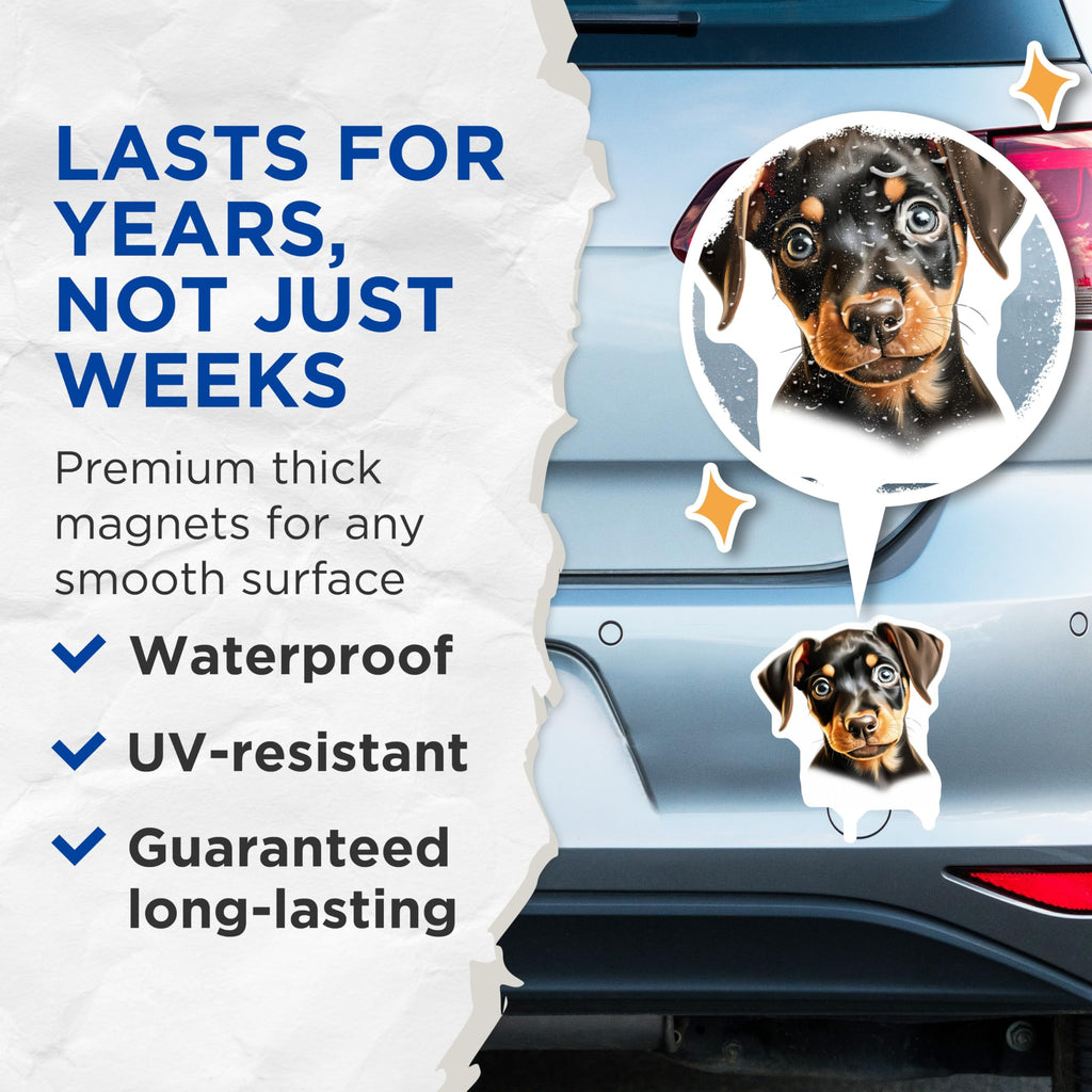 (2 Pack) Doberman Puppy Magnets - Cute Pet Lover Refrigerator Decor - New Canine Parent - 5 Inches On Longest Side - Thick Durable Magnet - Made in USA - MAG30881