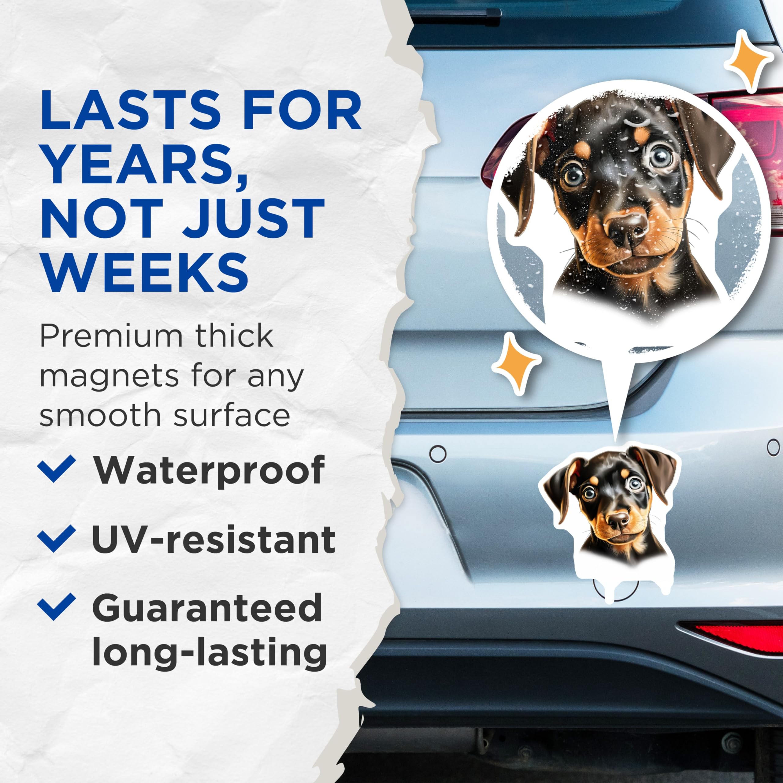 (2 Pack) Doberman Puppy Magnets - Cute Pet Lover Refrigerator Decor - New Canine Parent - 5 Inches On Longest Side - Thick Durable Magnet - Made in USA - MAG30881