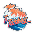 (2 Pack) Turkey Travel Magnets - Vacation Destination Decor - Tropical Beach Fridge Magnets - 5" On Longest Side - Premium Magnet - for Cars, Refrigerators, Toolboxes, Lockers - Made in USA - MAG17849