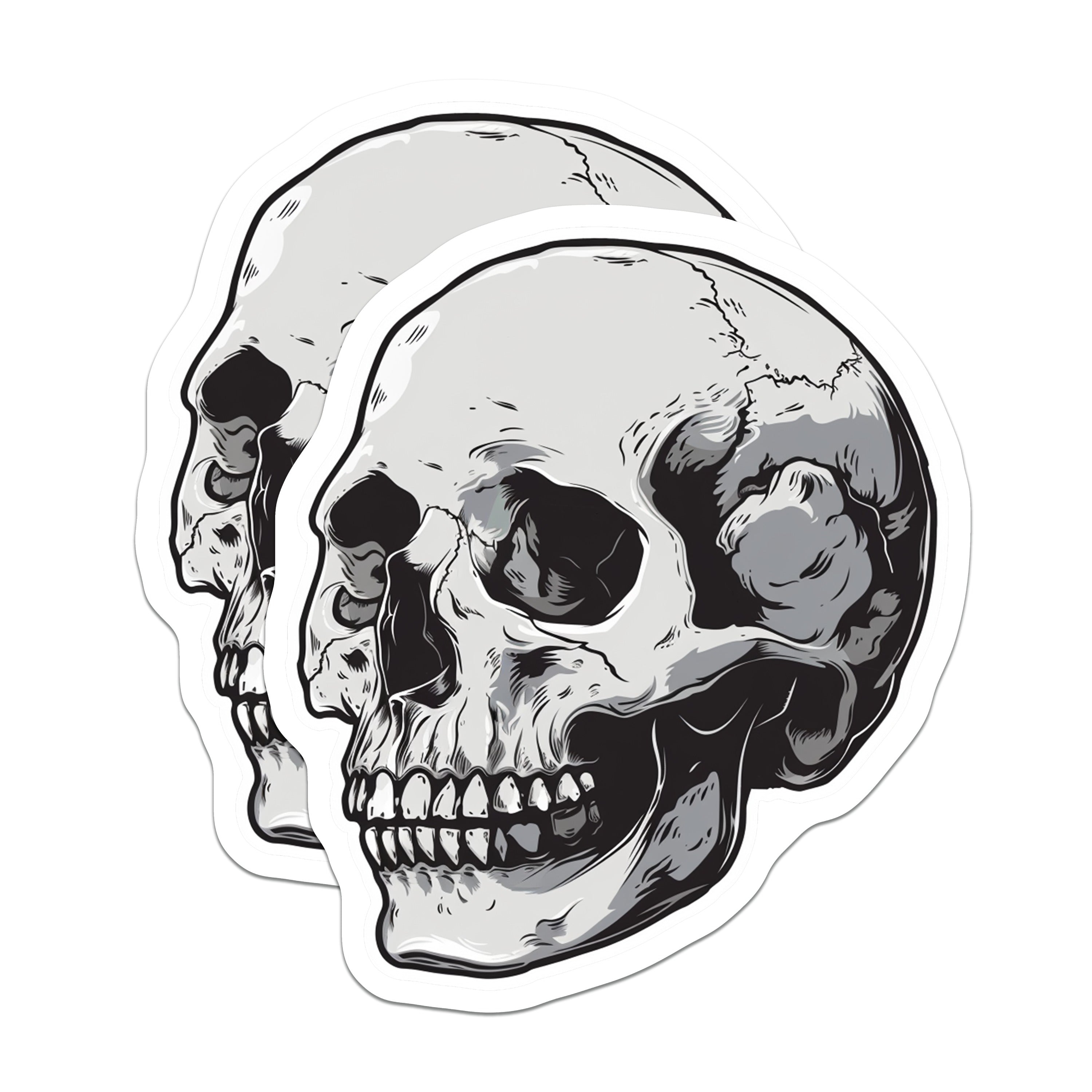 (2 Pack) Skull Magnets - Goth Decor - Edgy Skeleton Art - Halloween Refrigerator Accent - 5 Inches On Longest Side - Thick Durable Magnet - Made in USA - MAG38668