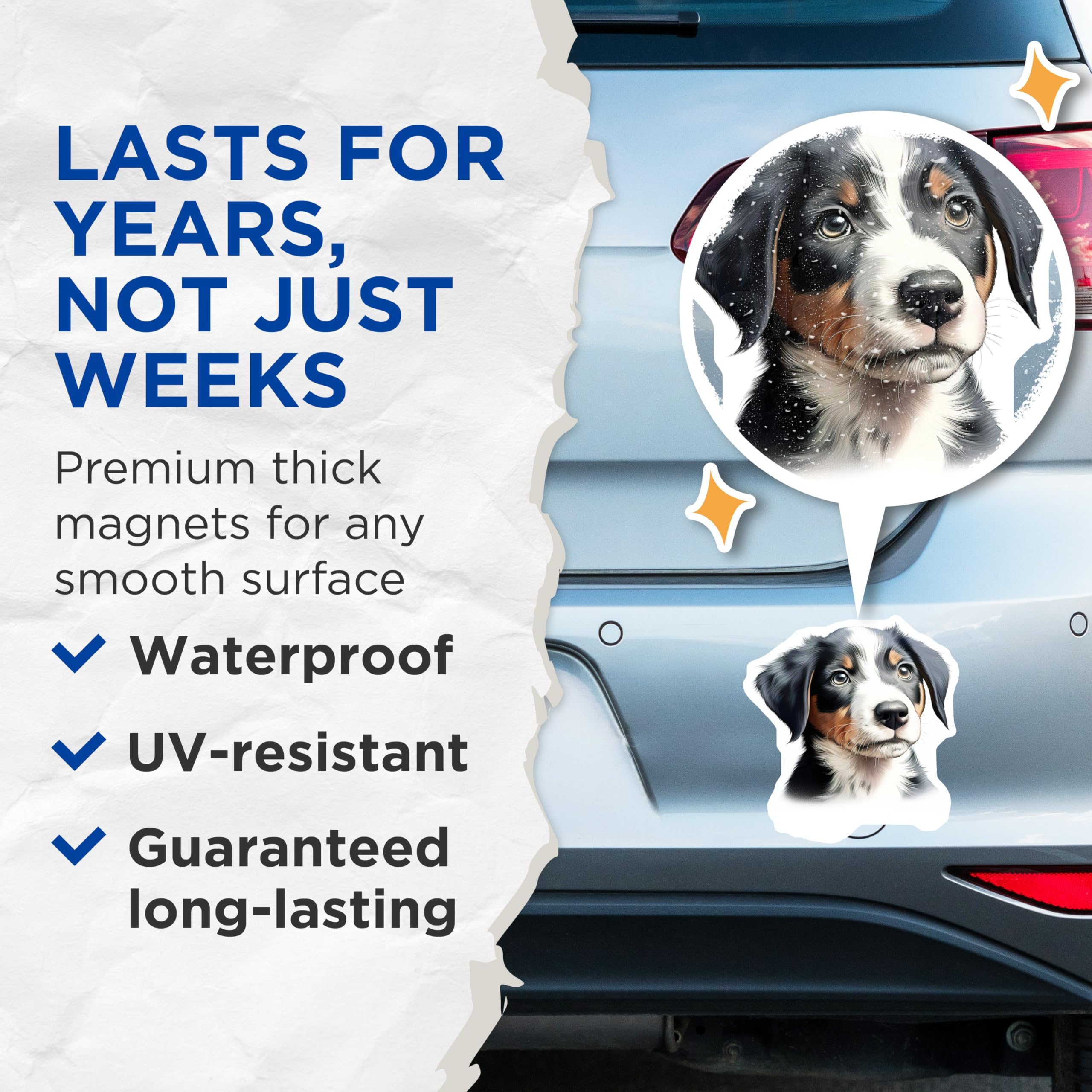 (2 Pack) Cute Puppy Face Magnets - Bernese Mountain Dog Art - Dog Mom Pet Lover Decor - 5 Inches On Longest Side - Thick Durable Magnet - Made in USA - MAG25259