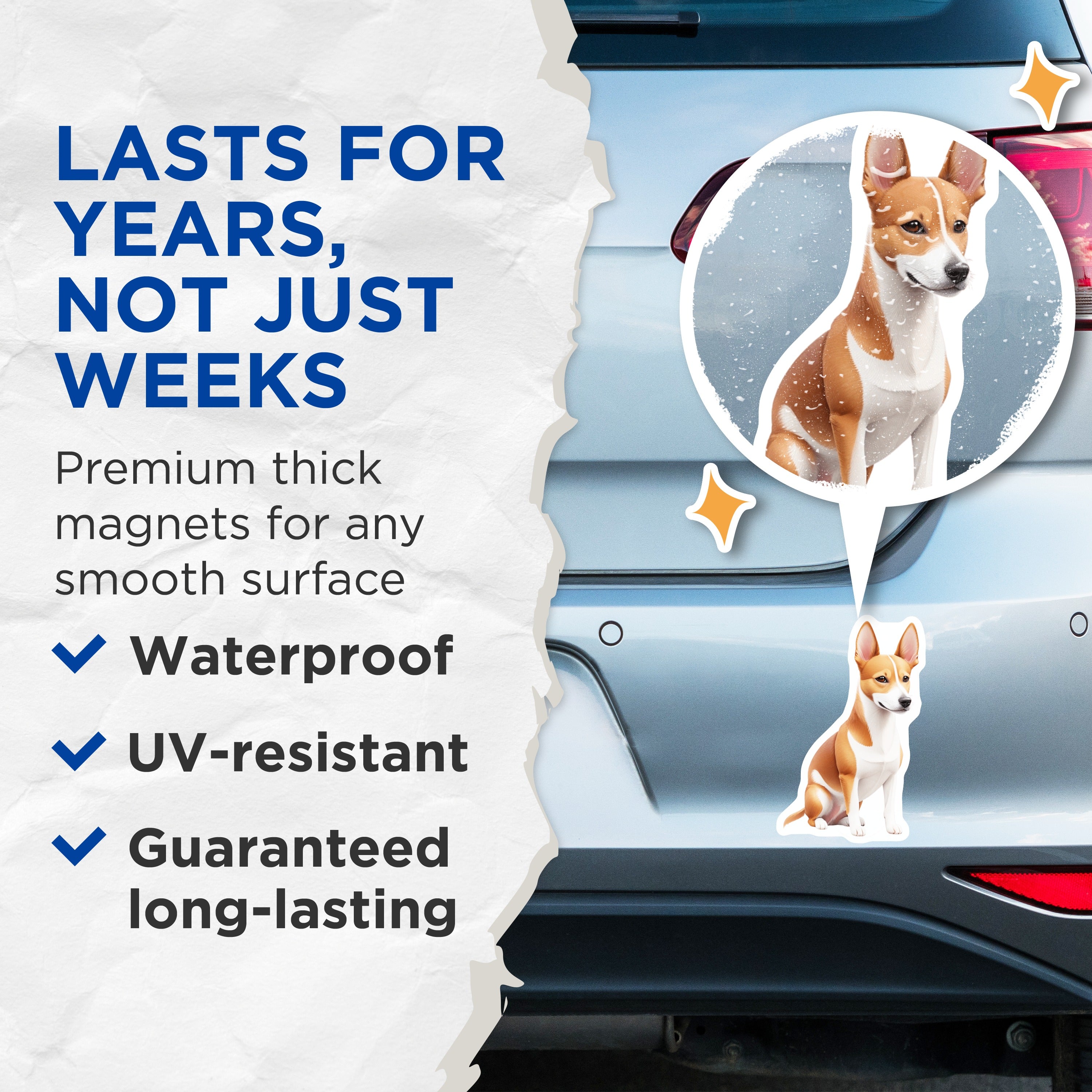 (2 Pack) Basenji Dog Magnets - Cute Pet Lover Decor - Dog Mom Dad Fridge Accessory - Animal Art Collectible - 5 Inches On Longest Side - Thick Durable Magnet - Made in USA - MAG36458