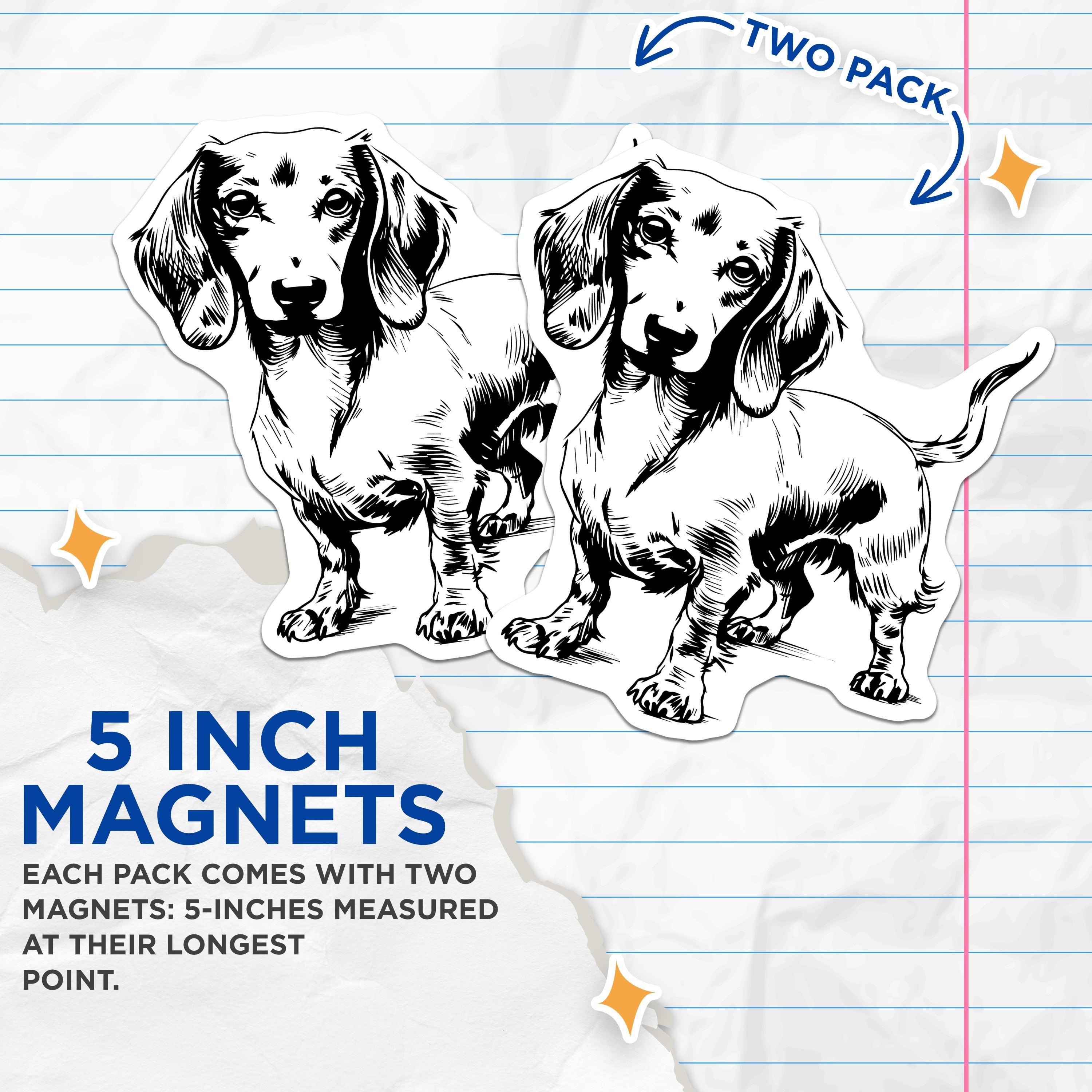(2 Pack) Dachshund Dog Magnets - Wiener Dog Lover Refrigerator Decor - Pet Parent Kitchen Animal Art Accents - 5 Inches On Longest Side - Thick Durable Magnet - Made in USA - MAG39811