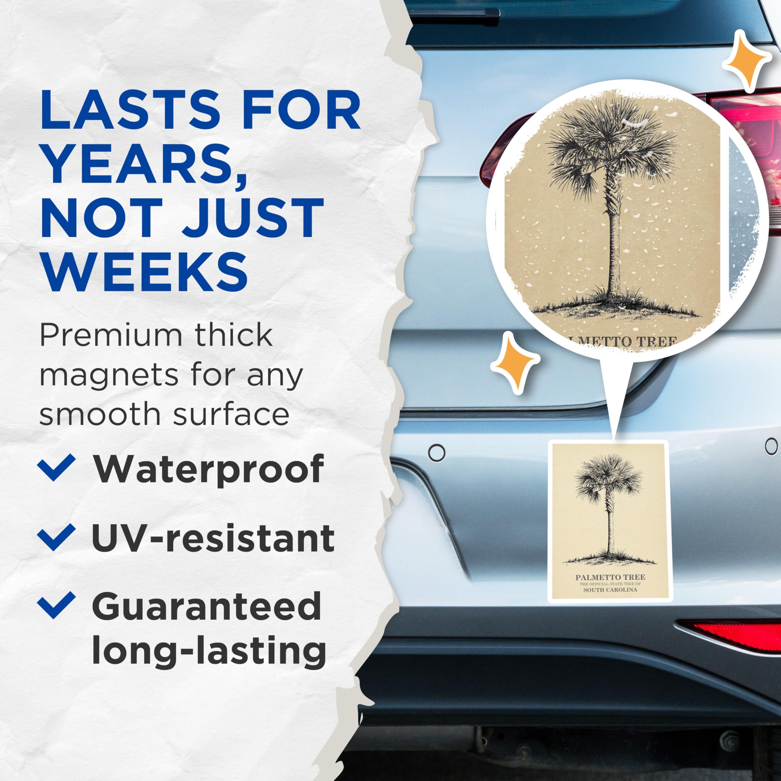 (2 Pack) Palmetto Tree Magnets - South Carolina - State Tree Decor - 5" On Longest Side - Premium Magnet - for Cars, Refrigerators, Toolboxes, Lockers - Made in USA - MAG17748