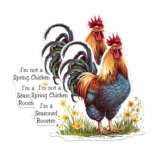 (2 Pack) Seasoned Rooster Magnets - Funny Chicken Magnets - Farm Animal Decor Magnets for Kitchen- 5" On Longest Side - for Fridges, Toolboxes, Cars - Made in USA - MAG2602