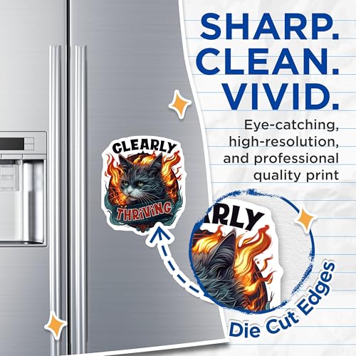 (2 Pack) Clearly Thriving Cat Magnets - Flame Cat Design - Motivational Cat Art - 5" On Longest Side - for Cars, Fridges, Toolboxes - Made in USA - MAG4347