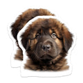 (2 Pack) Adorable Puppy Dog Magnets - Fluffy Brown Pet Lover Fridge Decor - Cute Animal Refrigerator Magnet for Dog Mom Dad - 5 Inches On Longest Side - Thick Durable Magnet - Made in USA - MAG29373