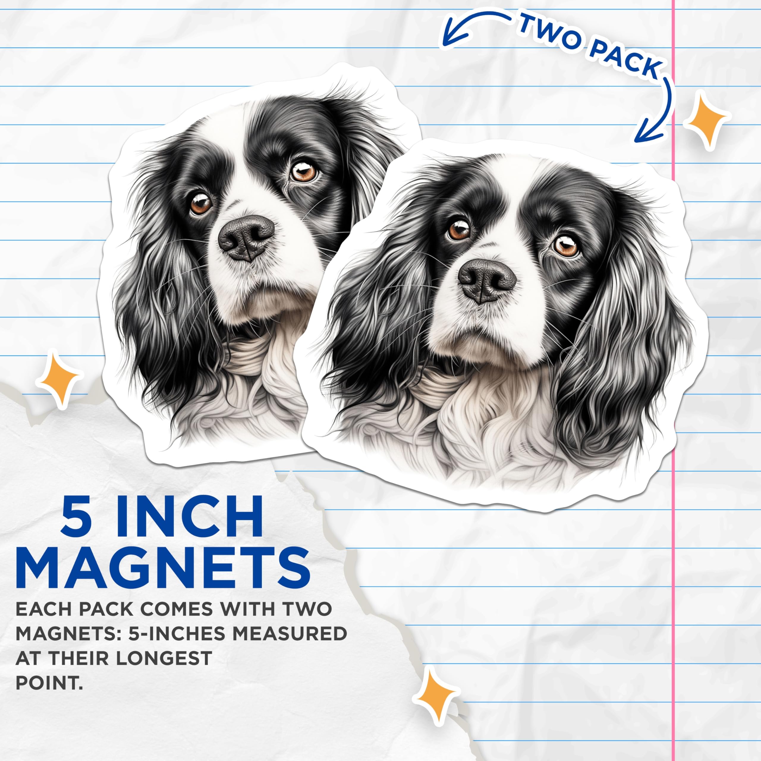 (2 Pack) Cavalier King Charles Spaniel Magnets - Dog Breed Lover Art Decor - Pet Animal Fridge Locker Magnets - 5 Inches On Longest Side - Thick Durable Magnet - Made in USA - MAG25848