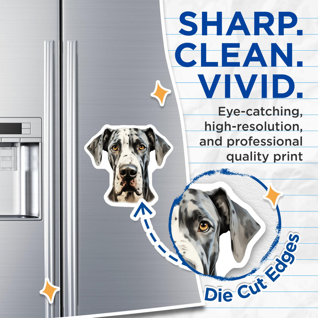 (2 Pack) Harlequin Great Dane Magnets - Dog Lover Decor - Pet Breed Appreciation - 5 Inches On Longest Side - Thick Durable Magnet - Made in USA - MAG27009