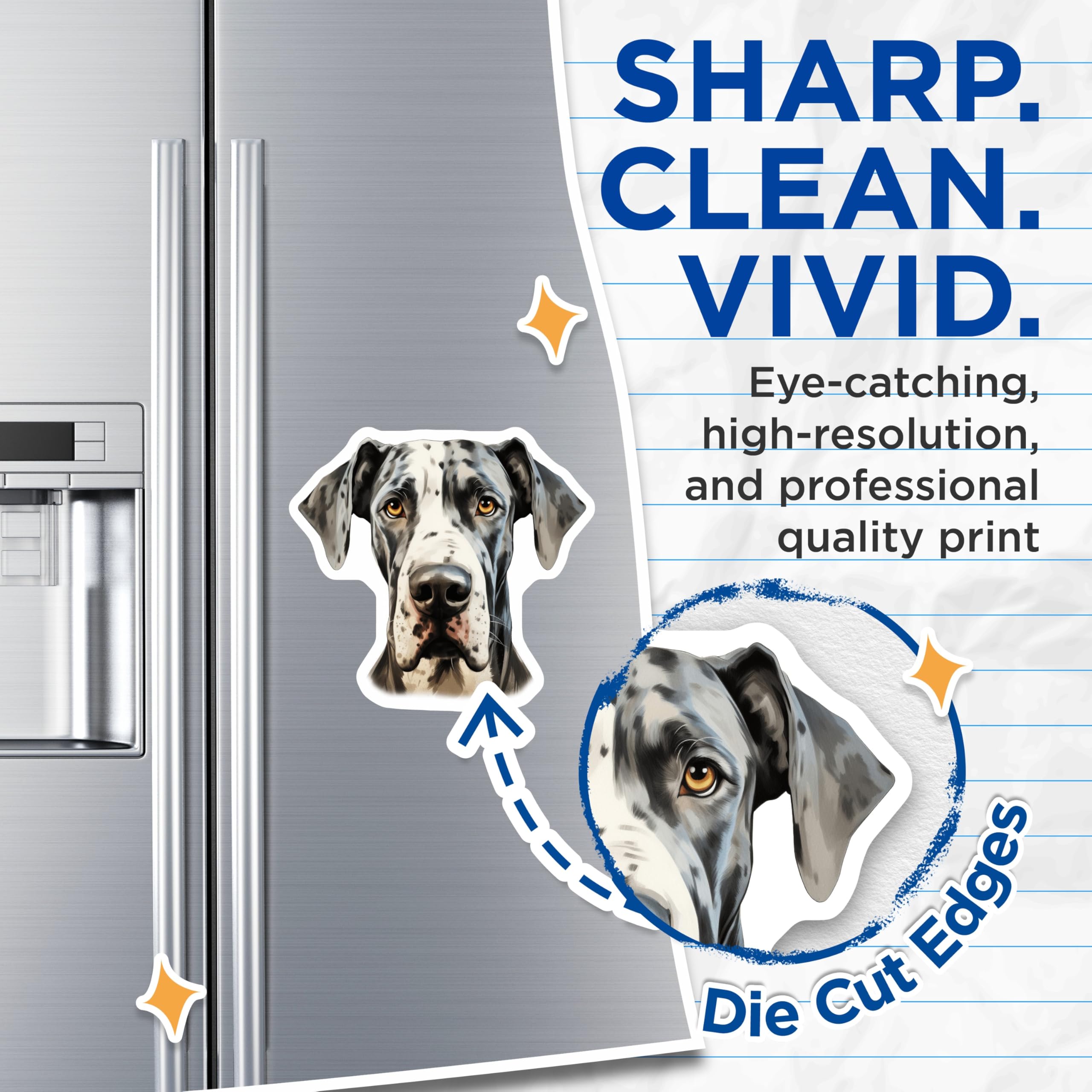 (2 Pack) Harlequin Great Dane Magnets - Dog Lover Decor - Pet Breed Appreciation - 5 Inches On Longest Side - Thick Durable Magnet - Made in USA - MAG27009