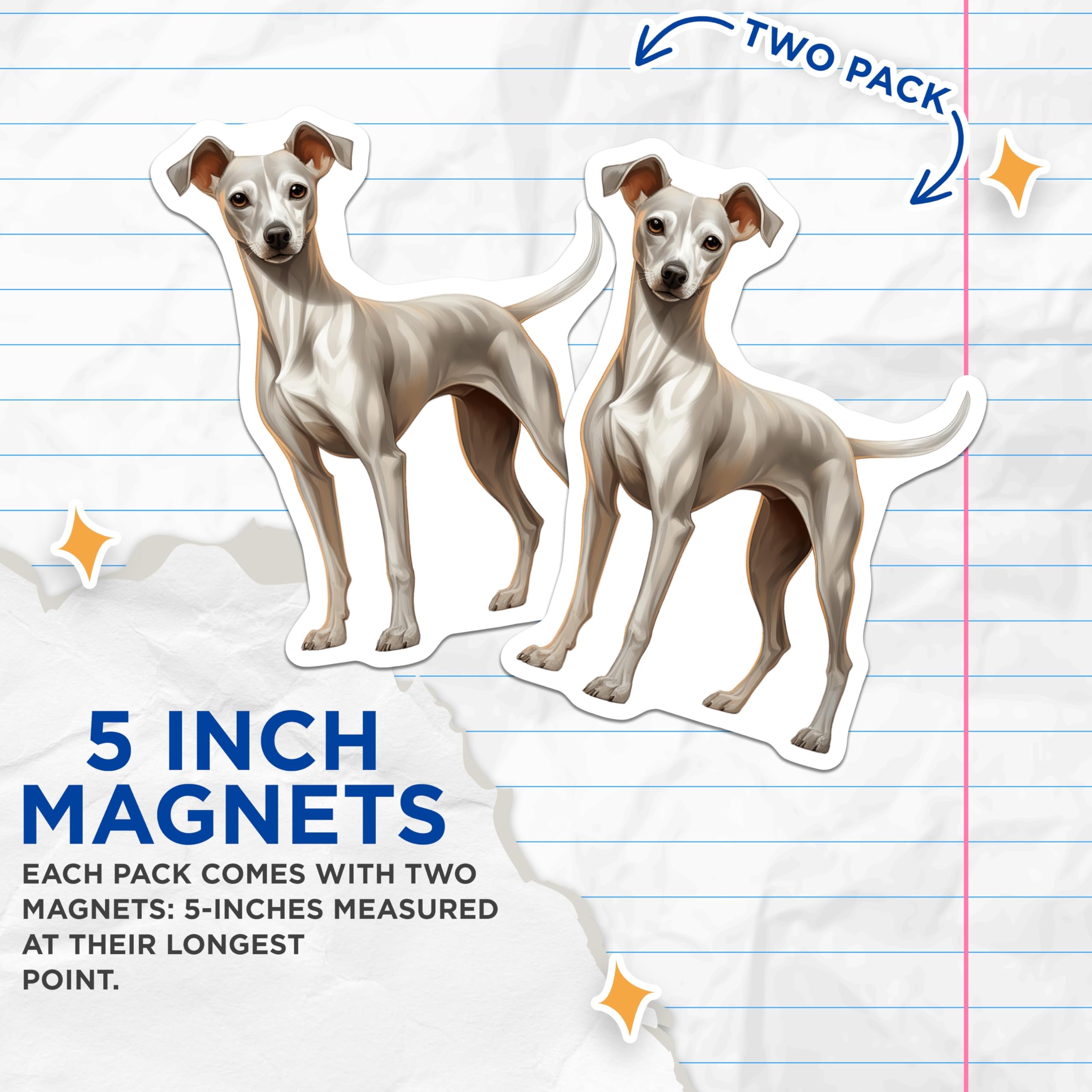 (2 Pack) Italian Greyhound Magnets - Dog Owner Decor - Pet Art Collection - 5 Inches On Longest Side - Thick Durable Magnet - Made in USA - MAG26833