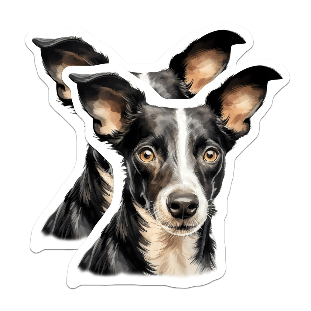 (2 Pack) Border Collie Dog Magnets - Pet Lover Refrigerator Decor - Animal Art Kitchen Magnets - 5 Inches On Longest Side - Thick Durable Magnet - Made in USA - MAG28194