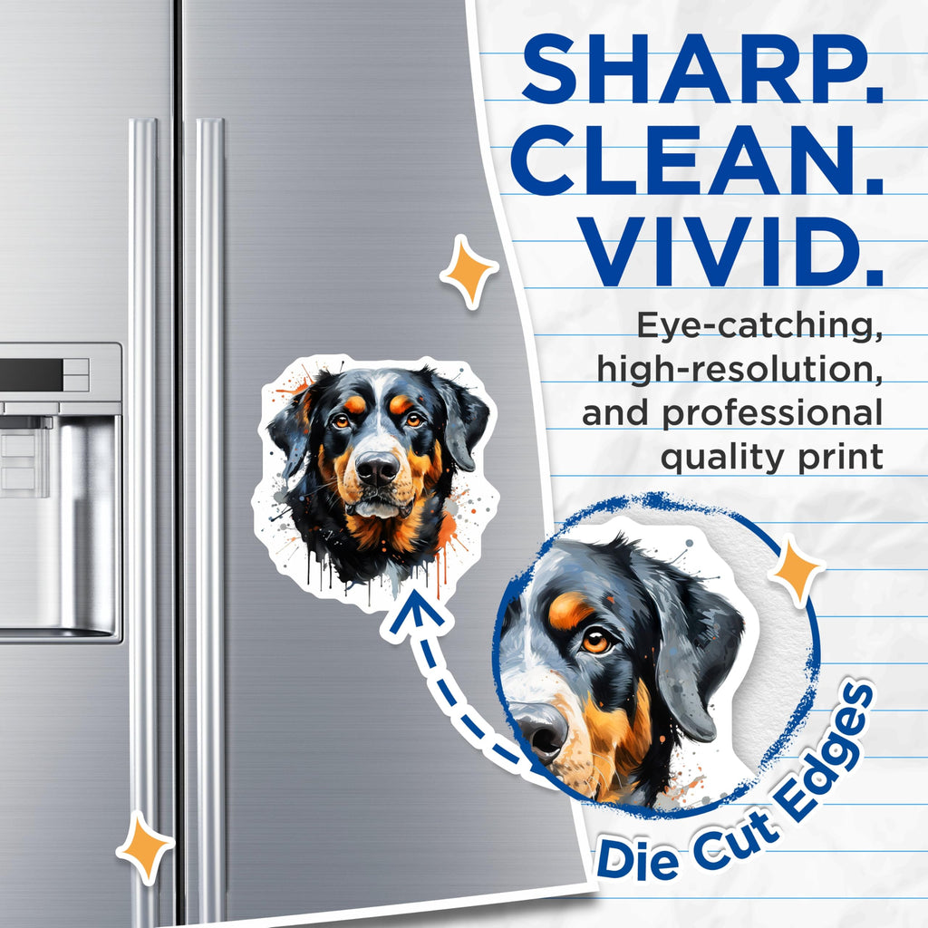 (2 Pack) Bernese Mountain Dog Magnets - Artistic Dog Design - Canine Refrigerator Decor - Animal Lover Magnet - 5 Inches On Longest Side - Thick Durable Magnet - Made in USA - MAG24789