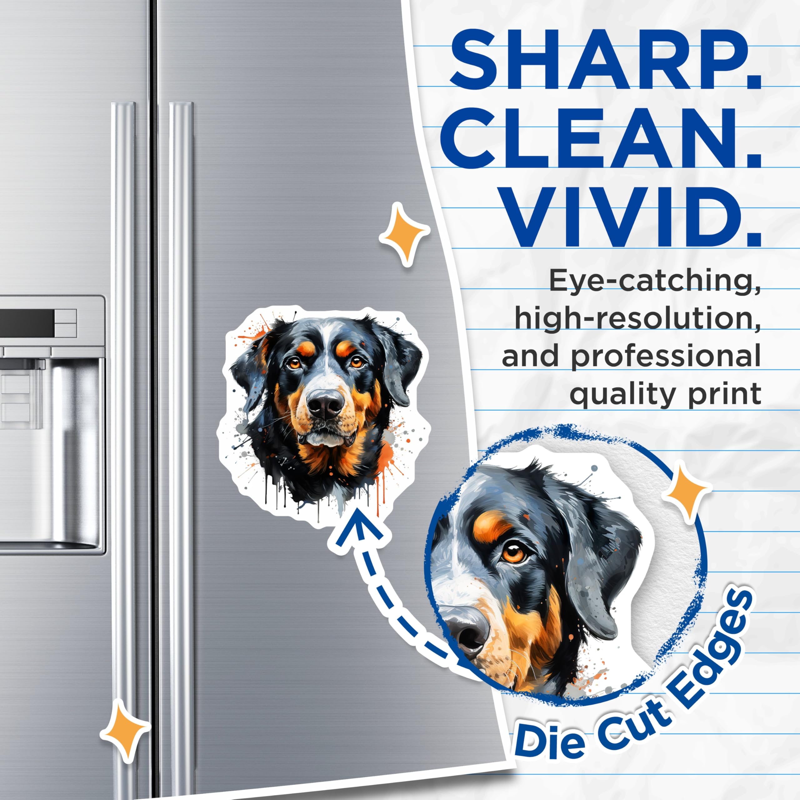 (2 Pack) Bernese Mountain Dog Magnets - Artistic Dog Design - Canine Refrigerator Decor - Animal Lover Magnet - 5 Inches On Longest Side - Thick Durable Magnet - Made in USA - MAG24789