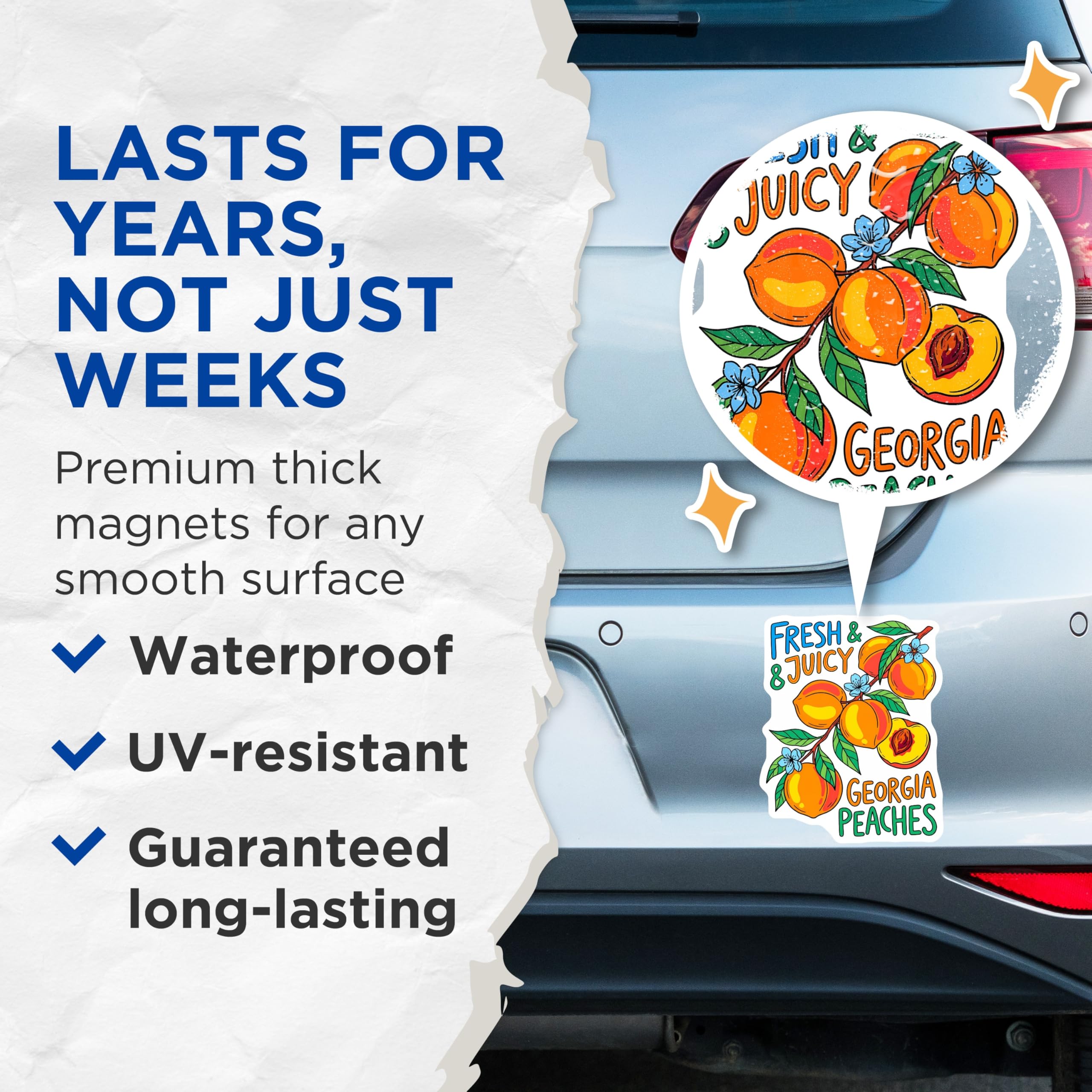 (2 Pack) Georgia Peaches Magnets - Fresh Juicy Fruit - Refrigerator Magnets - 5" On Longest Side - Premium Magnet - for Cars, Refrigerators, Toolboxes, Lockers - Made in USA - MAG18270